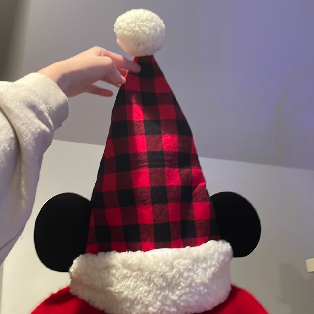 Mickey Mouse Ears Santa Hat